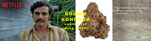 каннабис Майский
