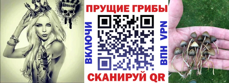 Псилоцибиновые грибы прущие грибы  Нестеров 