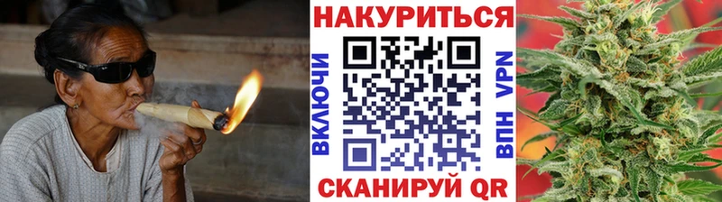 где продают наркотики  Нестеров  Канабис сатива 